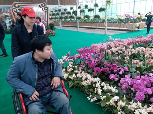 图为:在志愿者帮助下残疾人进行赏花 图为:在志愿者帮助下残疾人进行赏花