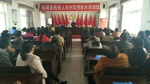 图为农艺师为残疾群众讲解农作物种植、管理知识 图为农艺师为残疾群众讲解农作物种植、管理知识