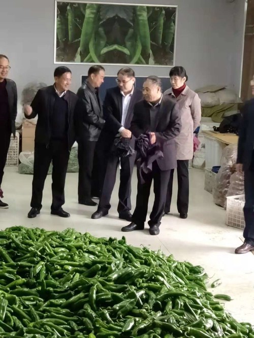图为市委组织部副调研员于翚、市残联党组书记、理事长张银良深入平舆县调研基层党组织助残扶贫工作 图为市委组织部副调研员于翚、市残联党组书记、理事长张银良深入平舆县调研基层党组织助残扶贫工作